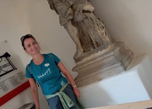 Epydemye fotogalerie