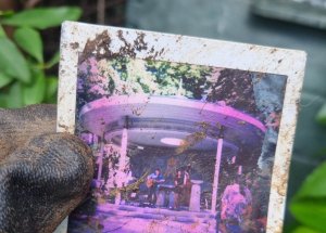 Epydemye fotogalerie