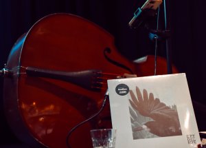 Epydemye fotogalerie