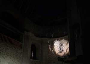 Epydemye fotogalerie