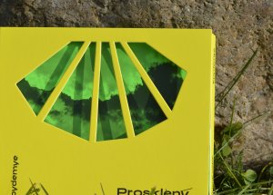Epydemye fotogalerie